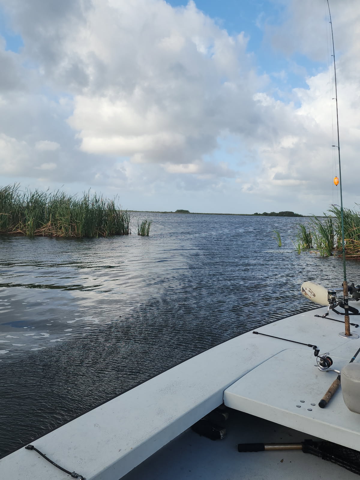 Guided Fishing 3