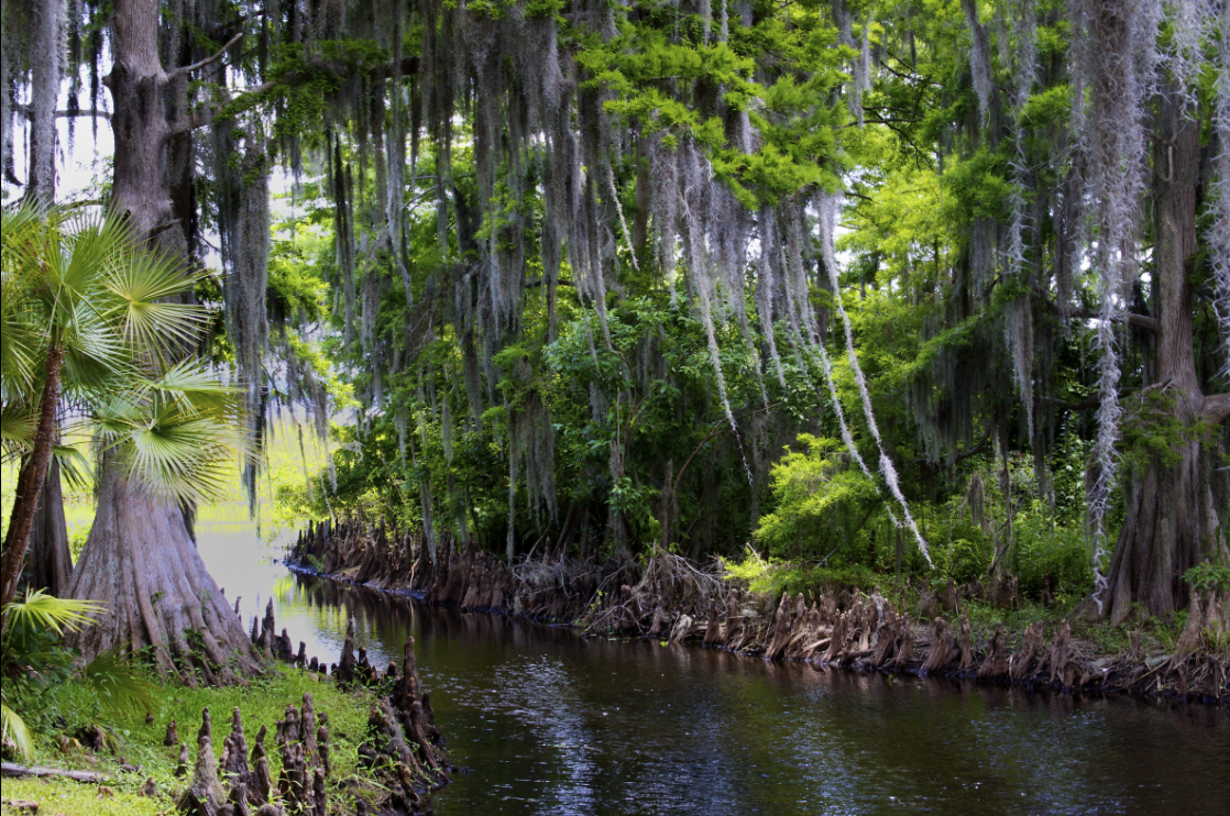 Headwaters